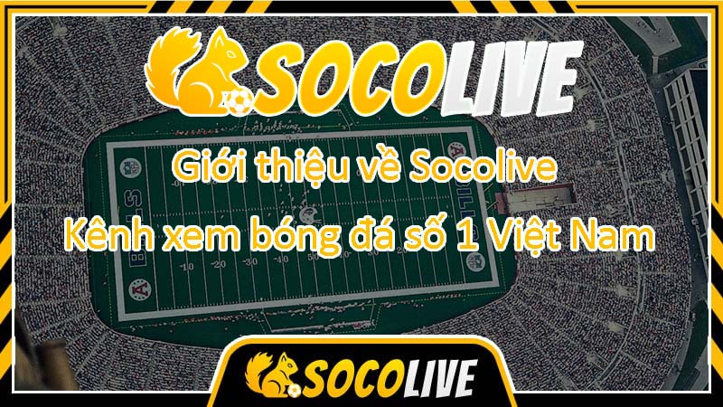 Những dịch vụ mà Socolive triển khai 